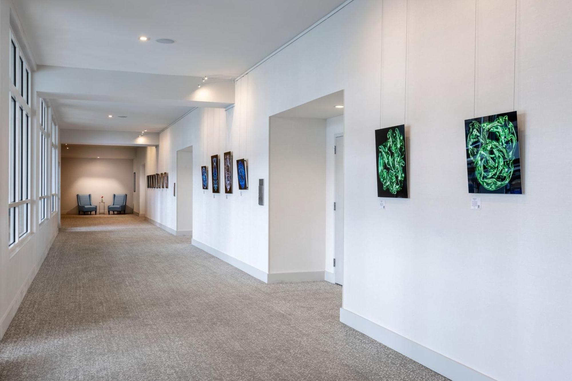 Springhill Suites By Marriott Amelia Island Fernandina Beach Eksteriør bilde